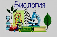 Итоги олимпиады по биологии