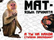 А ты на какой ступени эволюции?