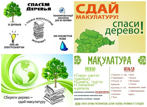 makaction 01